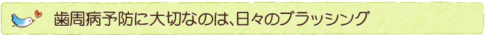 歯周病予防に大切なのは、日々のブラッシング